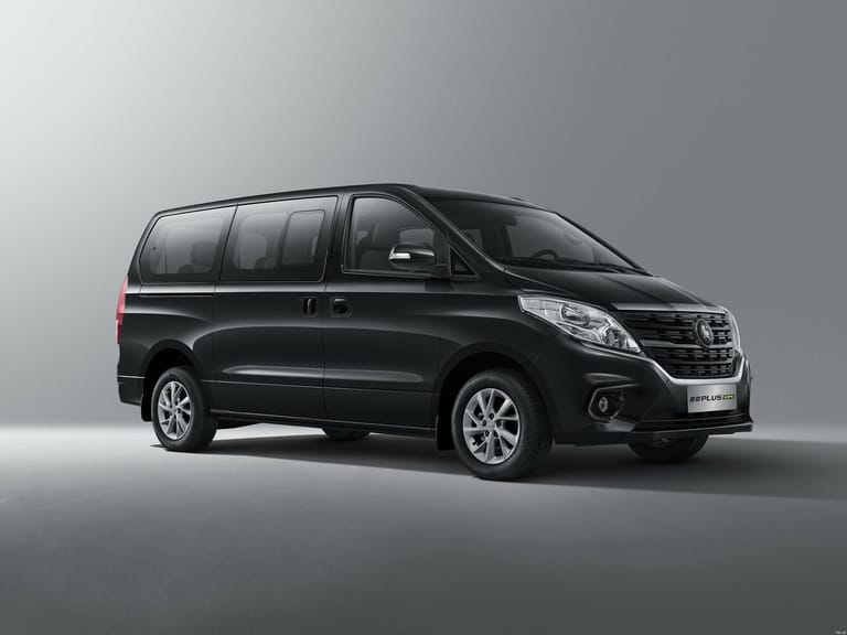 Forthing Lingzhi Plus