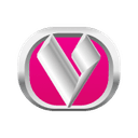 Автомобили марки Byvin