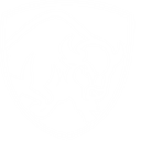 Автомобили марки Zubr